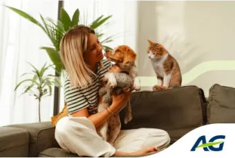 Top Hond & Kat / Top Chien & Chat